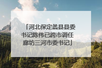河北保定蠡县县委书记陈伟已跨市调任廊坊三河市委书记