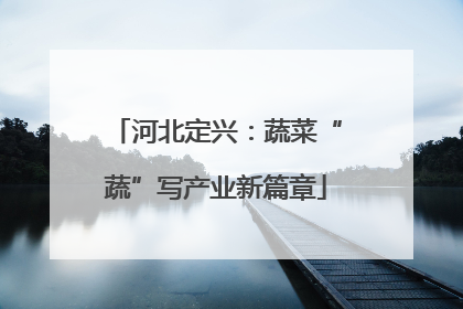 河北定兴：蔬菜“蔬”写产业新篇章