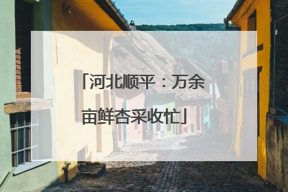 河北顺平：万余亩鲜杏采收忙