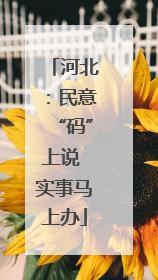 河北：民意“码”上说 实事马上办