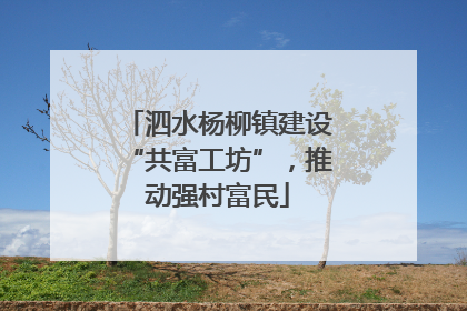 泗水杨柳镇建设“共富工坊”，推动强村富民