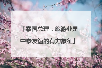 泰国总理：旅游业是中泰友谊的有力象征