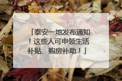 泰安一地发布通知！这些人可申领生活补贴、购房补助！