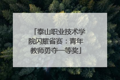 泰山职业技术学院闪耀省赛：青年教师勇夺一等奖