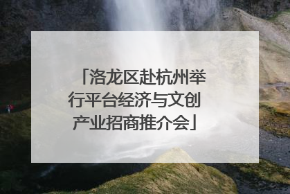 洛龙区赴杭州举行平台经济与文创产业招商推介会