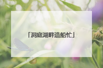 洞庭湖畔造船忙