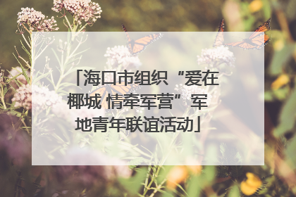 海口市组织“爱在椰城 情牵军营”军地青年联谊活动