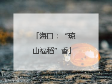 海口：“琼山福稻”香