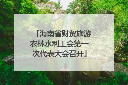 海南省财贸旅游农林水利工会第一次代表大会召开