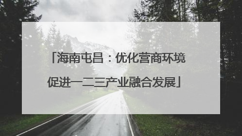 海南屯昌：优化营商环境 促进一二三产业融合发展