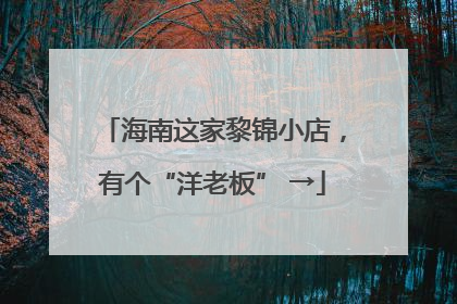 海南这家黎锦小店，有个“洋老板” →