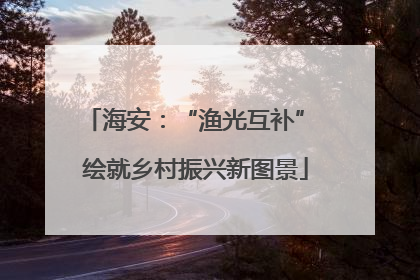 海安：“渔光互补” 绘就乡村振兴新图景