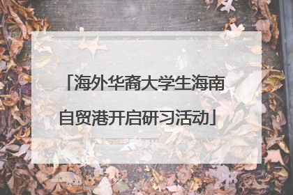 海外华裔大学生海南自贸港开启研习活动