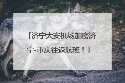 济宁大安机场加密济宁-重庆往返航班！