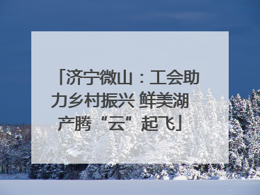 济宁微山：工会助力乡村振兴 鲜美湖产腾“云”起飞
