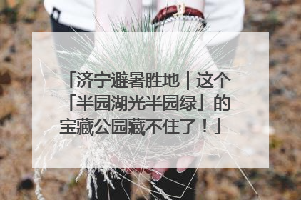济宁避暑胜地｜这个「半园湖光半园绿」的宝藏公园藏不住了！