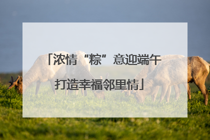浓情“粽”意迎端午 打造幸福邻里情