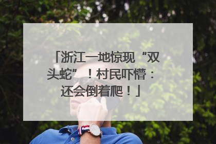 浙江一地惊现“双头蛇”！村民吓懵：还会倒着爬！