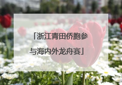 浙江青田侨胞参与海内外龙舟赛