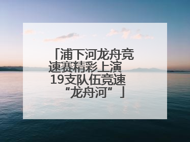 浦下河龙舟竞速赛精彩上演 19支队伍竞速“龙舟河”
