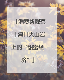 消费新观察丨海口火山岩上的“甜蜜经济”