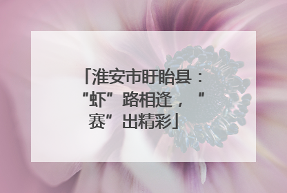 淮安市盱眙县：“虾”路相逢，“赛”出精彩