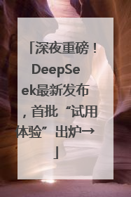 深夜重磅！DeepSeek最新发布，首批“试用体验”出炉→