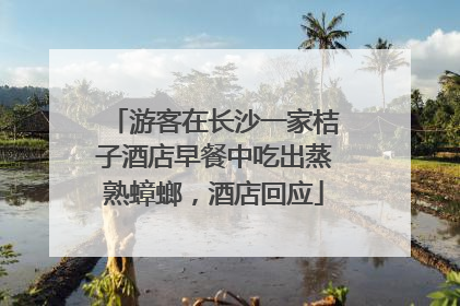 游客在长沙一家桔子酒店早餐中吃出蒸熟蟑螂，酒店回应