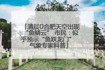 清晨﻿合肥天空出现“鱼鳞云” 市民：似乎预示“鱼跃龙门” 气象专家科普