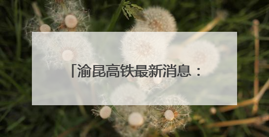 渝昆高铁最新消息：洛泽河特大桥全面进入悬浇梁施工阶段