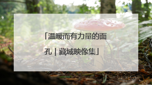 温暖而有力量的面孔｜藏域映像集
