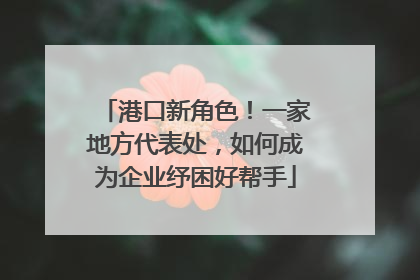 港口新角色！一家地方代表处，如何成为企业纾困好帮手