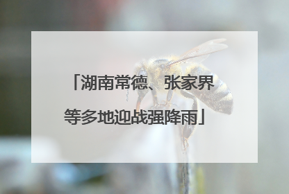 湖南常德、张家界等多地迎战强降雨
