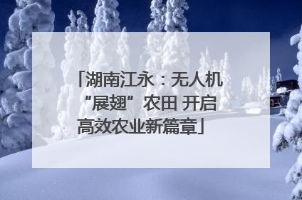 湖南江永：无人机“展翅”农田 开启高效农业新篇章