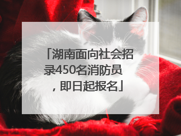 湖南面向社会招录450名消防员，即日起报名