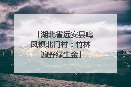 湖北省远安县鸣凤镇北门村：竹林遍野绿生金