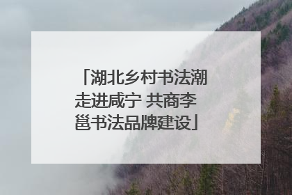 湖北乡村书法潮走进咸宁 共商李邕书法品牌建设