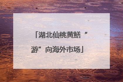 湖北仙桃黄鳝“游”向海外市场