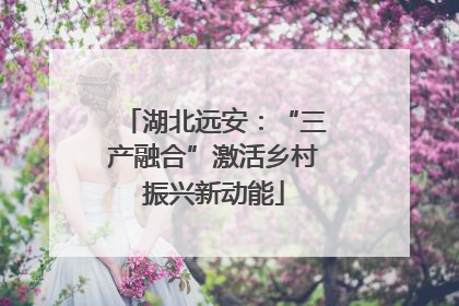 湖北远安：“三产融合”激活乡村振兴新动能