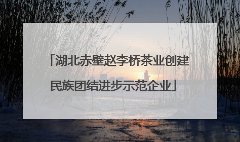 湖北赤壁赵李桥茶业创建民族团结进步示范企业