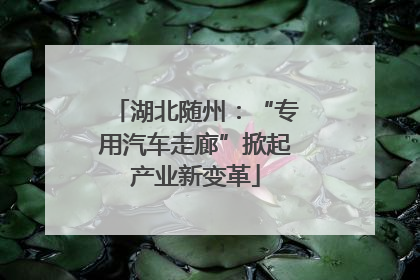 湖北随州：“专用汽车走廊”掀起产业新变革