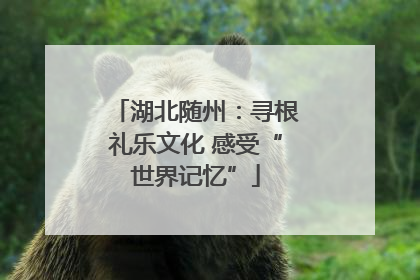 湖北随州：寻根礼乐文化 感受“世界记忆”