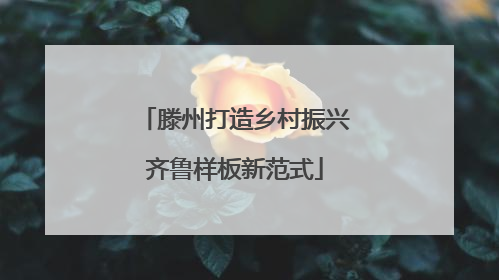 滕州打造乡村振兴齐鲁样板新范式