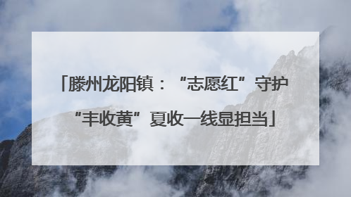滕州龙阳镇：“志愿红”守护“丰收黄”夏收一线显担当