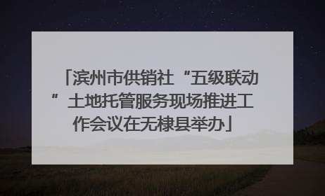 滨州市供销社“五级联动”土地托管服务现场推进工作会议在无棣县举办