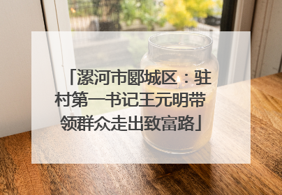 漯河市郾城区：驻村第一书记王元明带领群众走出致富路
