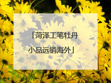 菏泽工笔牡丹小品远销海外