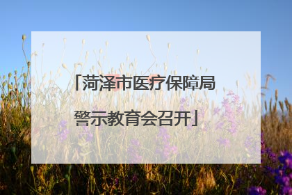 菏泽市医疗保障局警示教育会召开