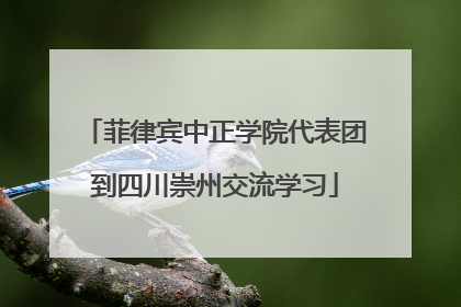 菲律宾中正学院代表团到四川崇州交流学习