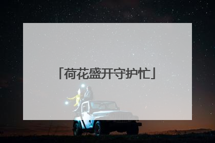 荷花盛开守护忙